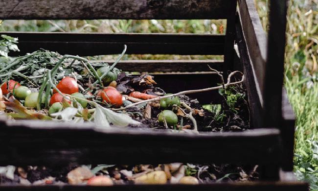 compost